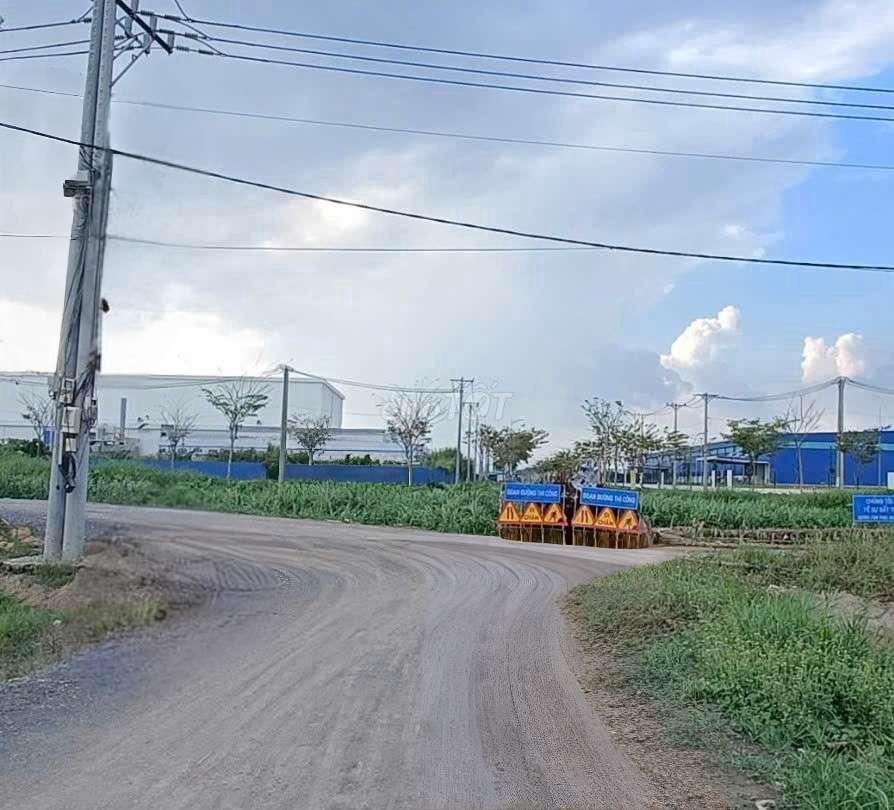 cho thuê 10000m2 đất vườn (HNK) MT kênh Đường Vườn Thơm xã Bình Lợi 