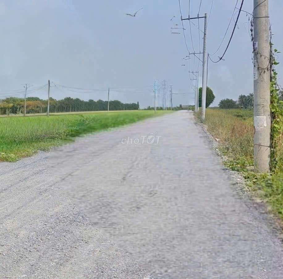 cho thuê 10000m2 đất vườn (HNK) MT kênh Đường Vườn Thơm xã Bình Lợi 