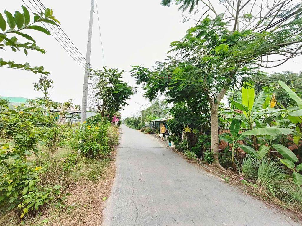đất bình chánh