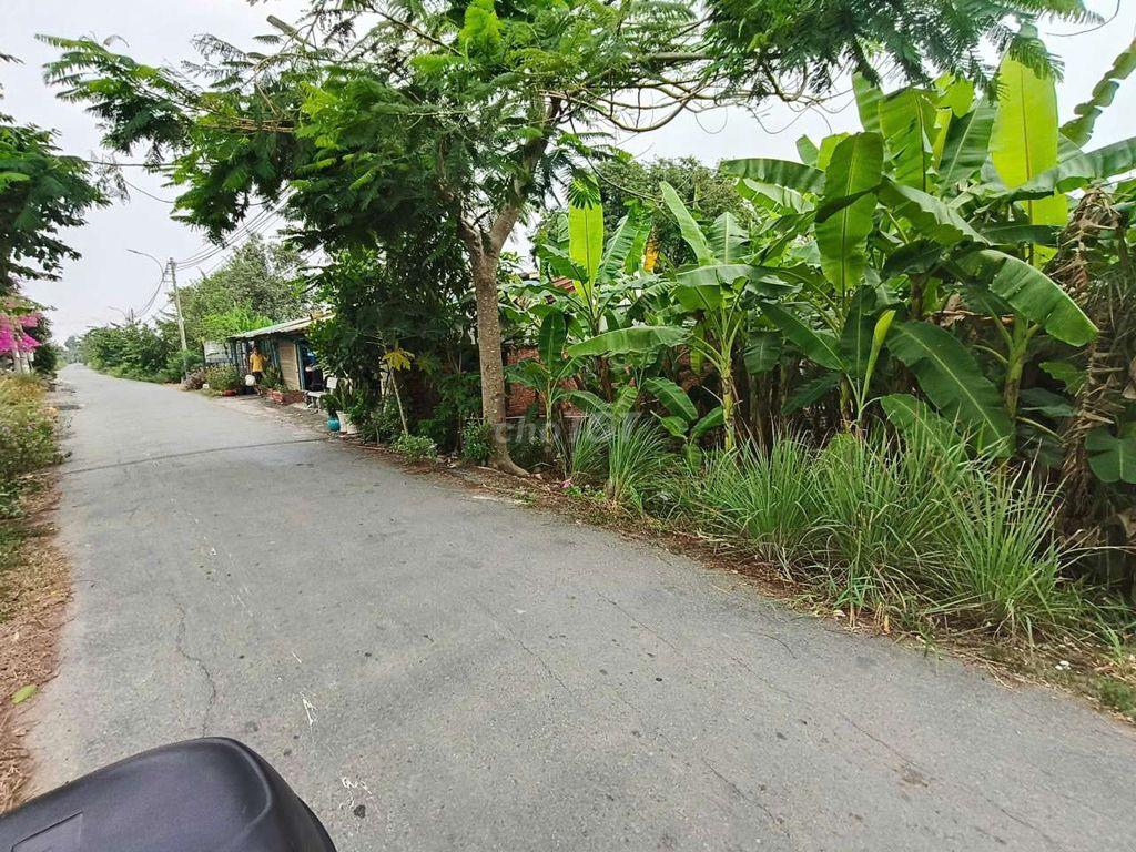 đất bình chánh