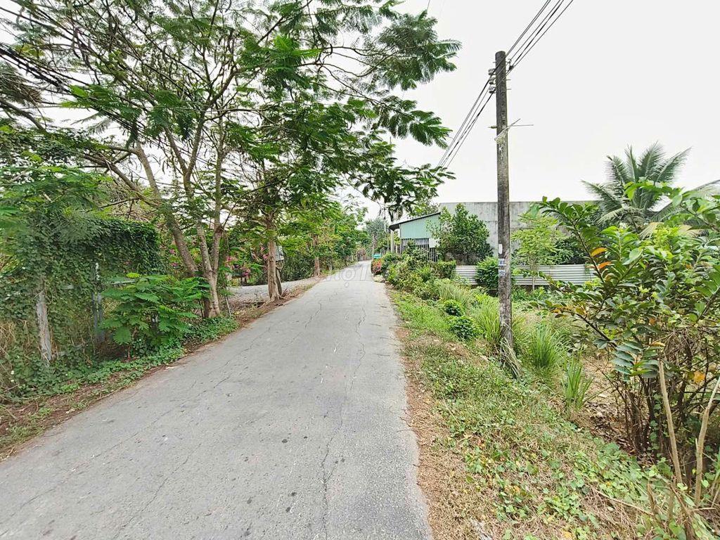 đất bình chánh