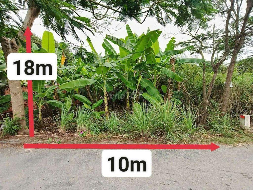 đất bình chánh