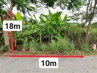đất bình chánh