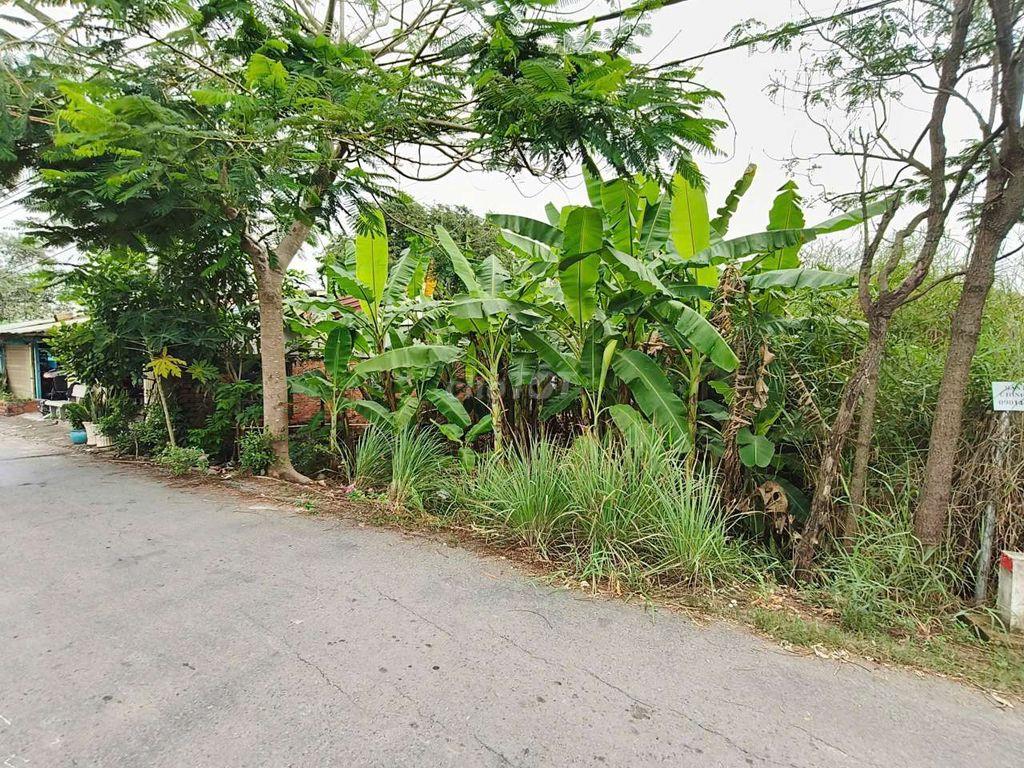 đất bình chánh