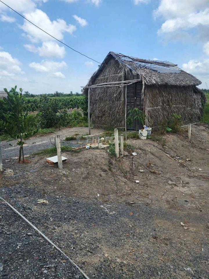 Chính chủ bán đất Trương Văn Đa, Bình Chánh