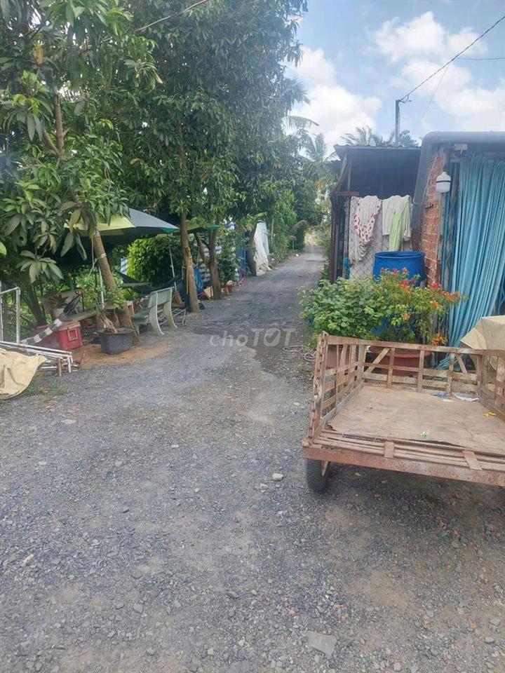 Chính chủ bán đất Trương Văn Đa, Bình Chánh
