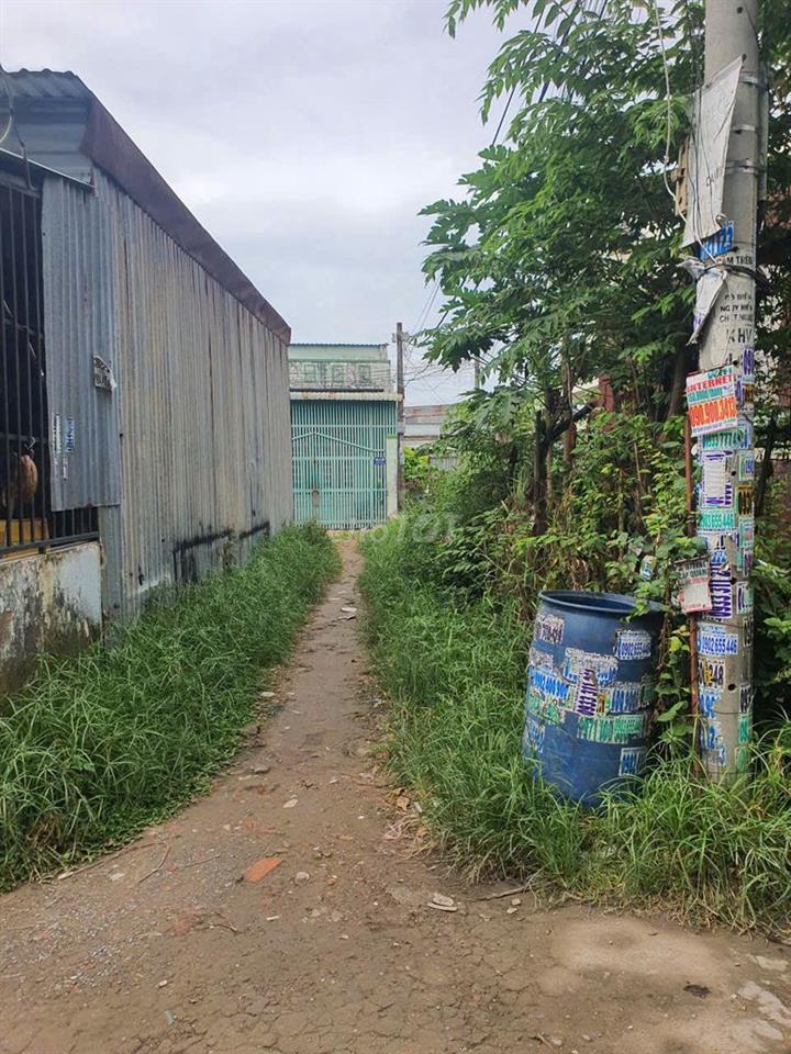 Bán đất