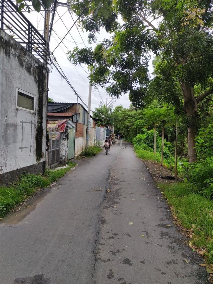 ĐẤT BÌNH CHÁNH - SỔ HỒNG RIÊNG - GIÁ 480 TRIỆU.