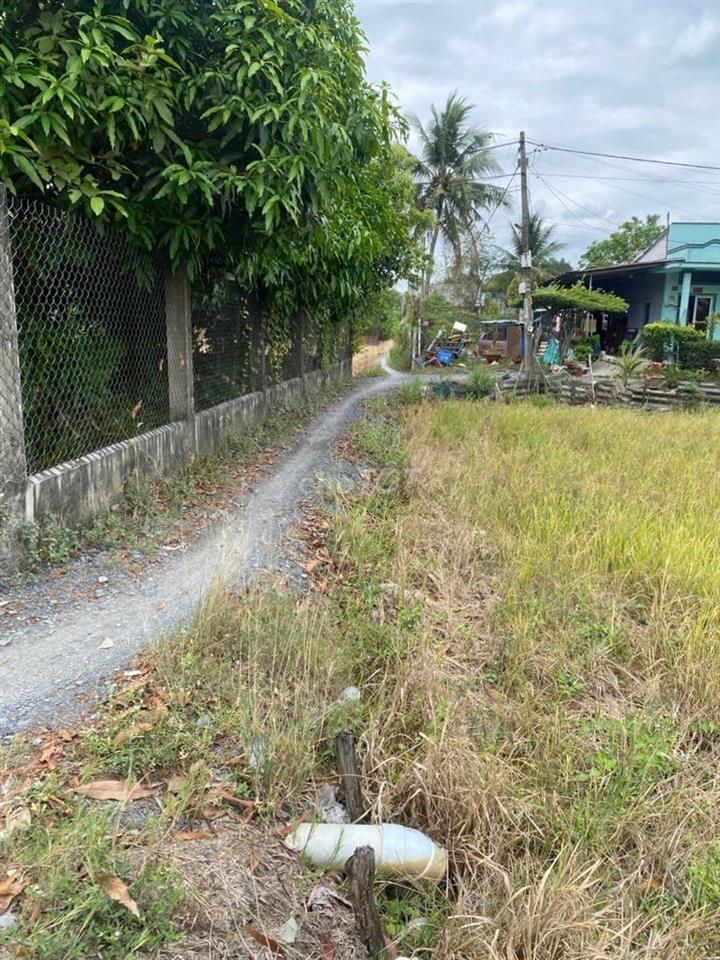 ĐẤT BÌNH CHÁNH - SỔ HỒNG RIÊNG - GIÁ 480 TRIỆU.
