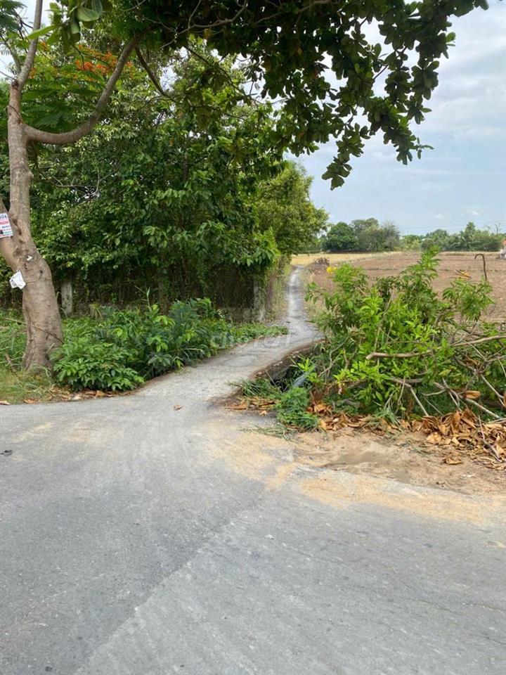 ĐẤT BÌNH CHÁNH - SỔ HỒNG RIÊNG - GIÁ 480 TRIỆU.