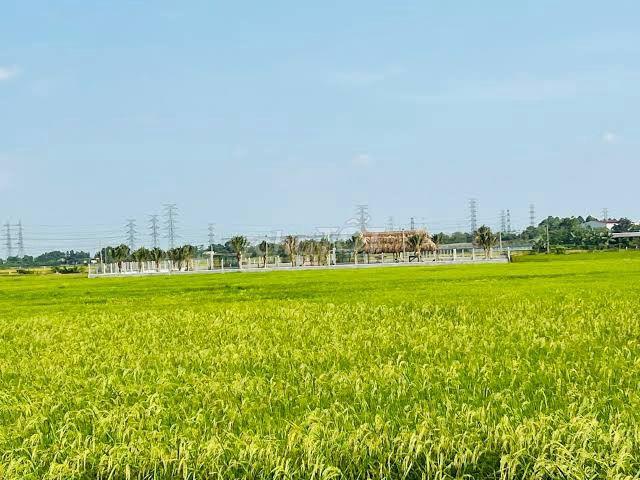 HẠ GIÁ SỐC CHÍNH CHỦ BÁN 1 TỶ/1000MV