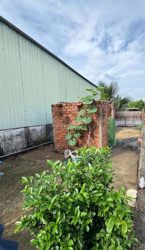 Đất Xã Hưng Long, Bình Chánh, DT 4 x 23,4m2. Giá bán thương lượng