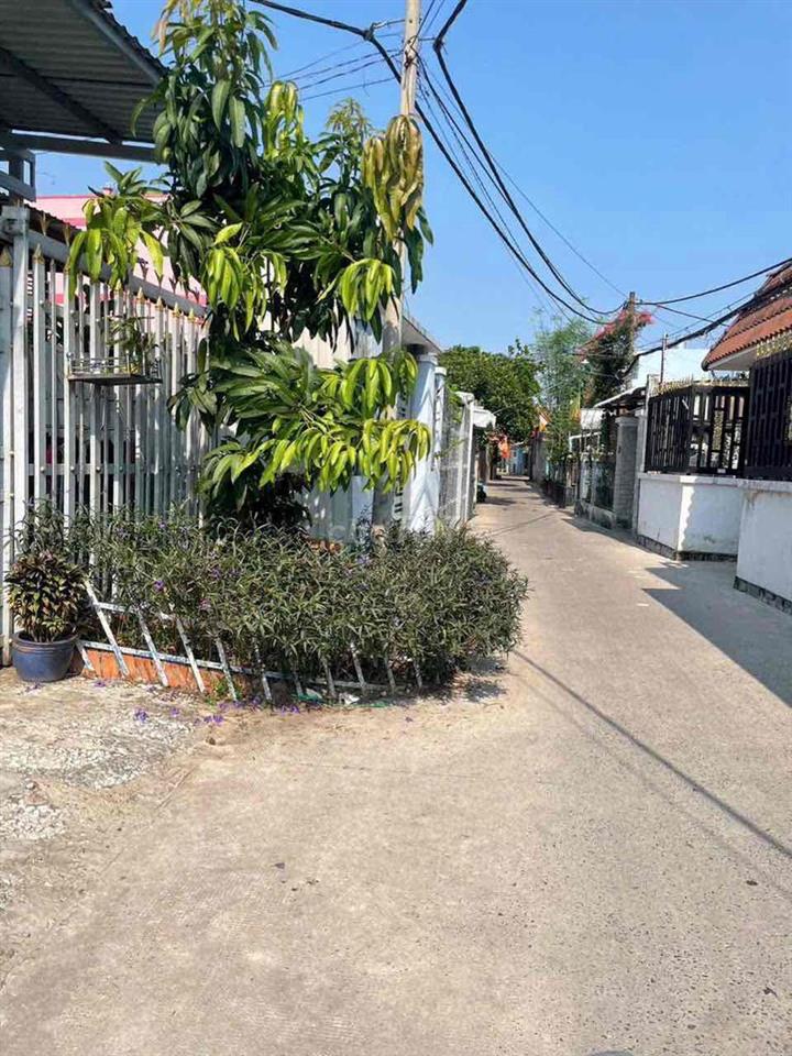 đất thổ cư nở hậu