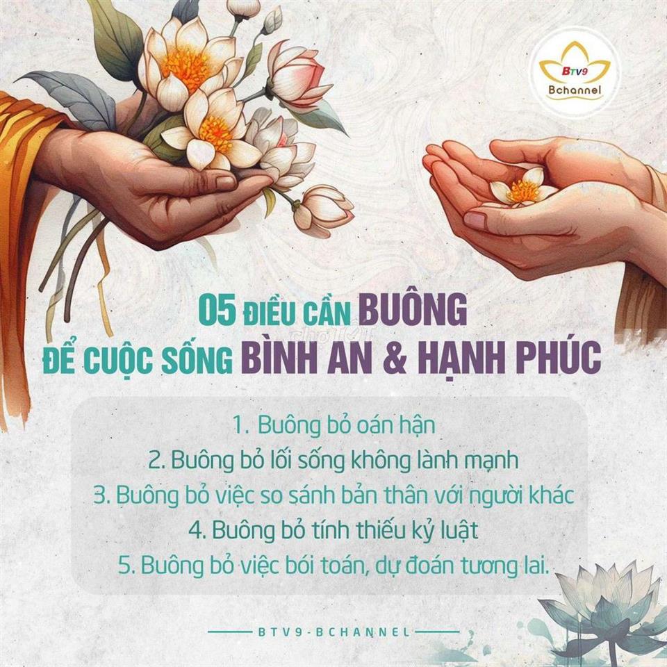 không sử dụng cần bán