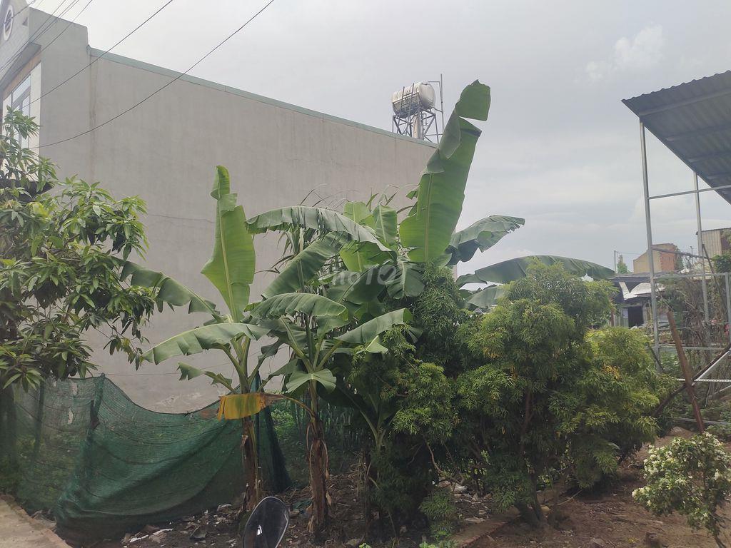 Đất nền giá rẻ