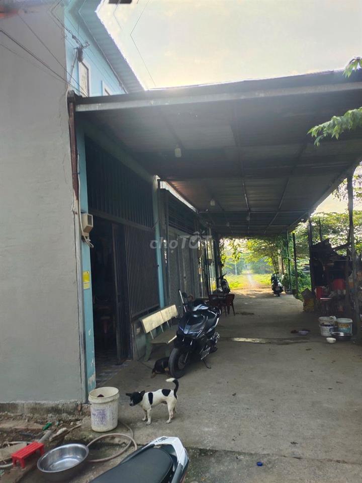 Đất nền giá rẻ