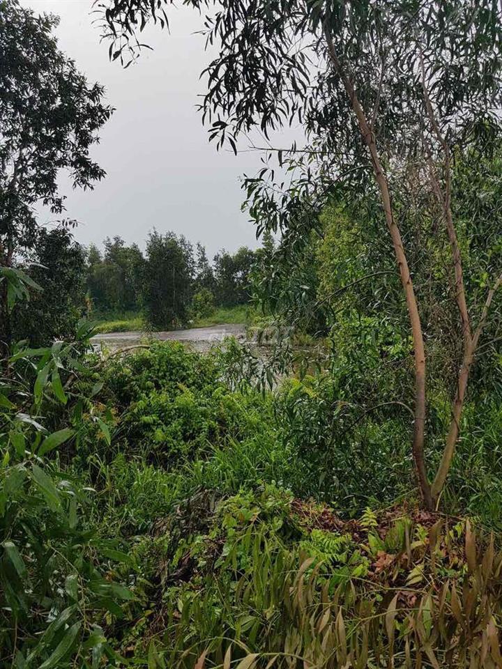 CẦN BÁN ĐẤT BÌNH CHÁNH