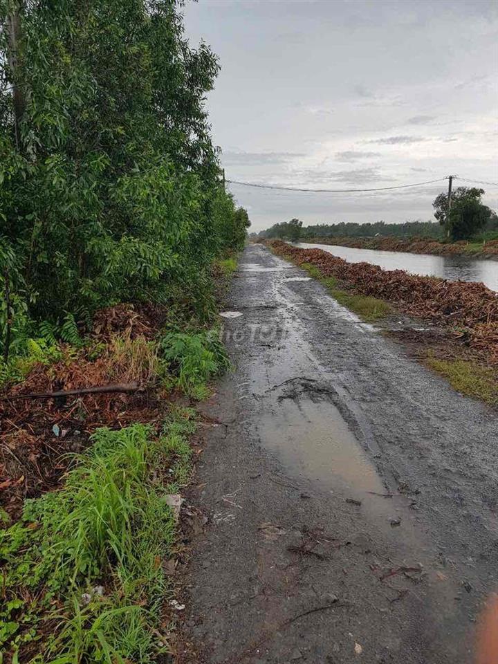 CẦN BÁN ĐẤT BÌNH CHÁNH