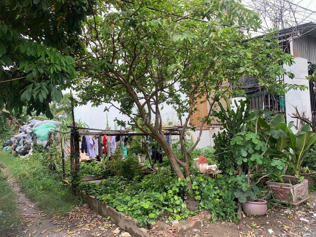 Bán Đất 1/ Đường Công Nghệ Tân Vĩnh Lộc