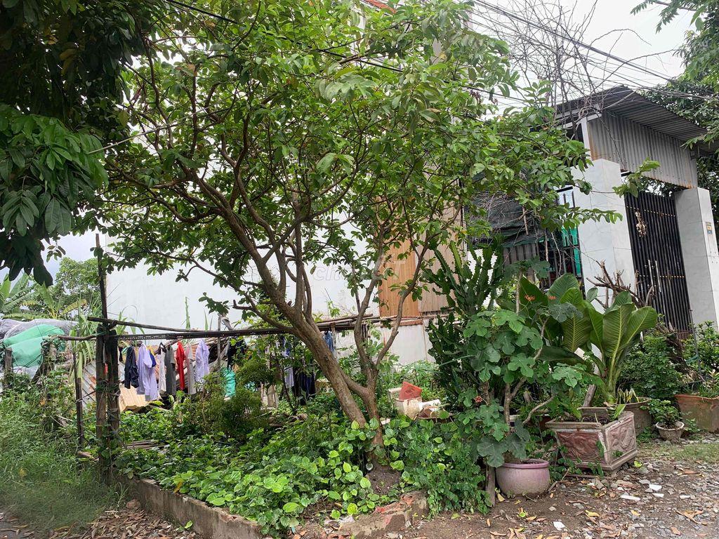 Bán Đất 1/ Đường Công Nghệ Tân Vĩnh Lộc