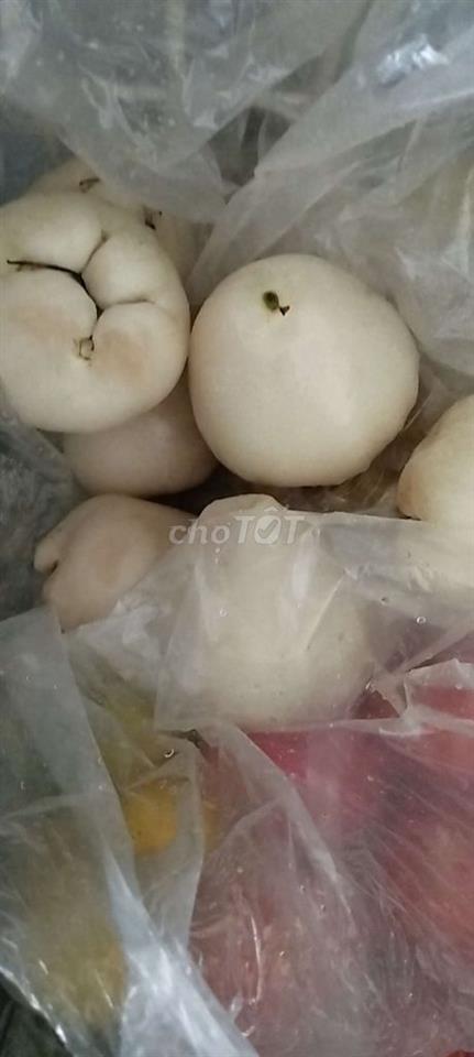 Nhà nguyên căn có gác mát mẻ yên tĩnh