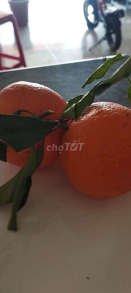 Nhà nguyên căn có gác mát mẻ yên tĩnh