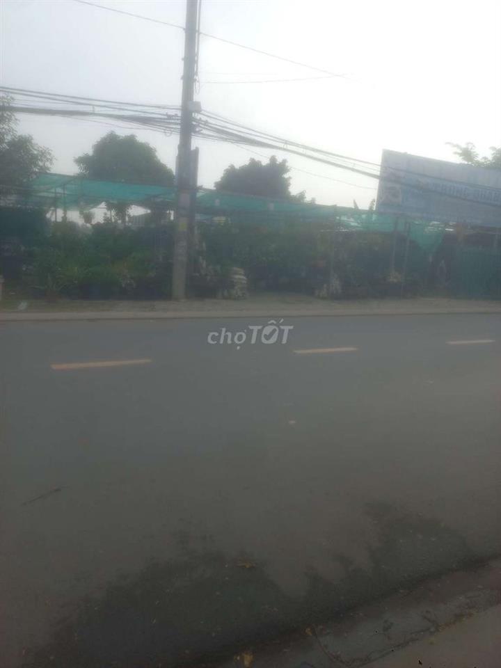 cần sang tiệm cây cảnh