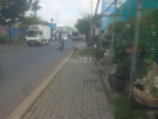 cần sang tiệm cây cảnh