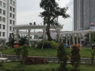 Cho thuê căn hộ Hoàng Anh Thanh Bình Quận 7 cũ, , 2PN 1WC, giá 12tr