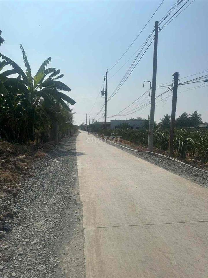 BÁN DAT MT ĐƯỜNG CÂY DIEP