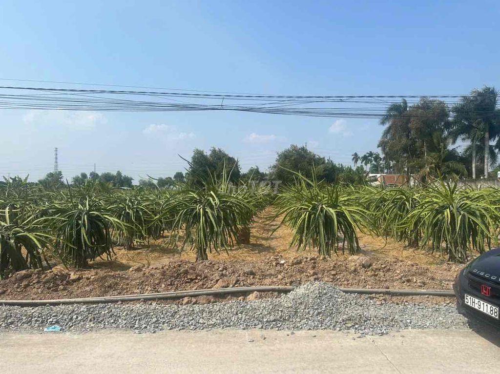 BÁN DAT MT ĐƯỜNG CÂY DIEP