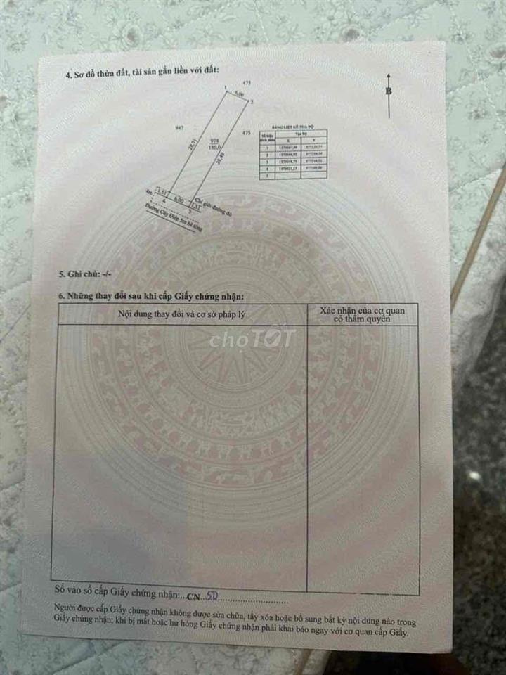 BÁN DAT MT ĐƯỜNG CÂY DIEP