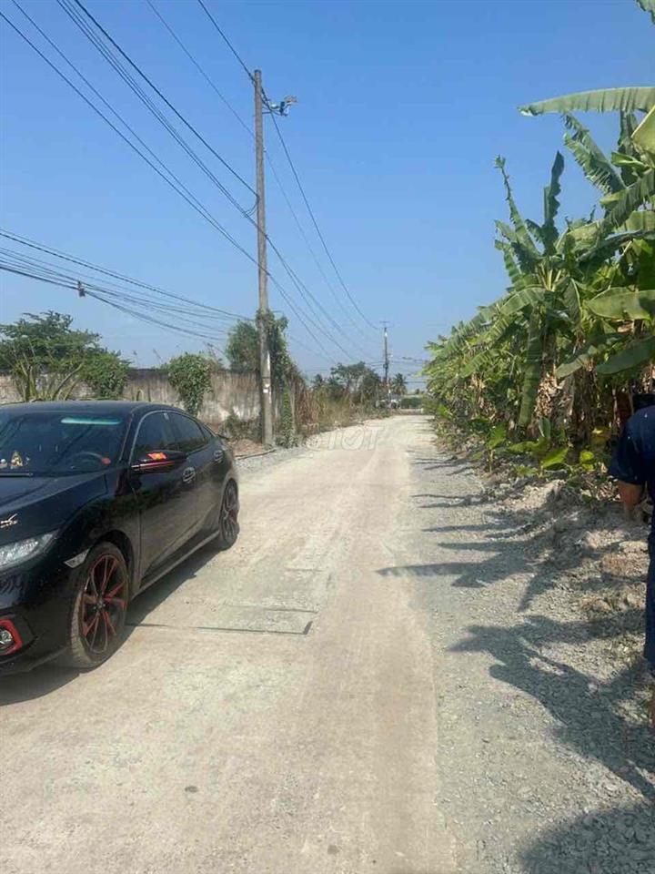 BÁN DAT MT ĐƯỜNG CÂY DIEP