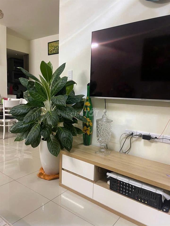 Cần bán gấp căn hộ duplex Vision 117 m2 giá rẻ; nhà đẹp mê