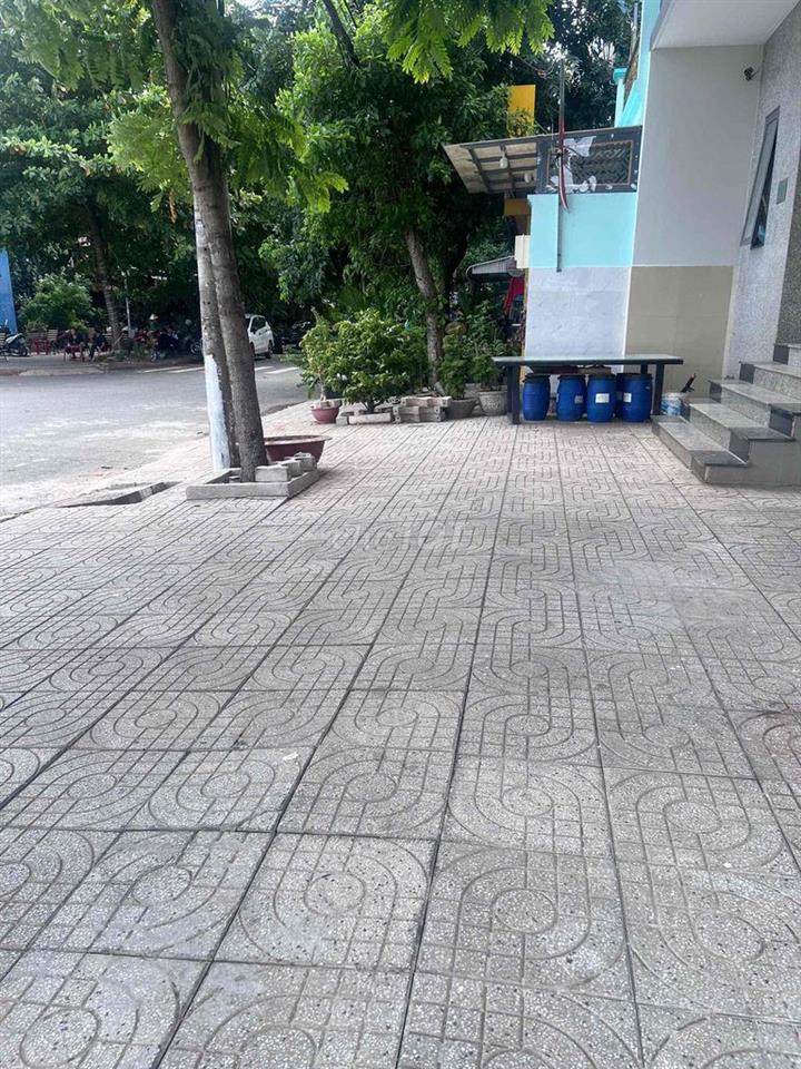 trệt kinh doanh cực sung