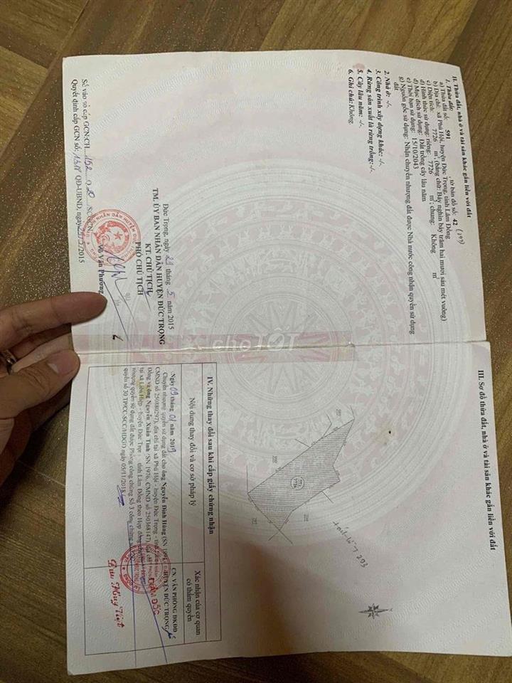 hơn 7xào đất cây cà phê