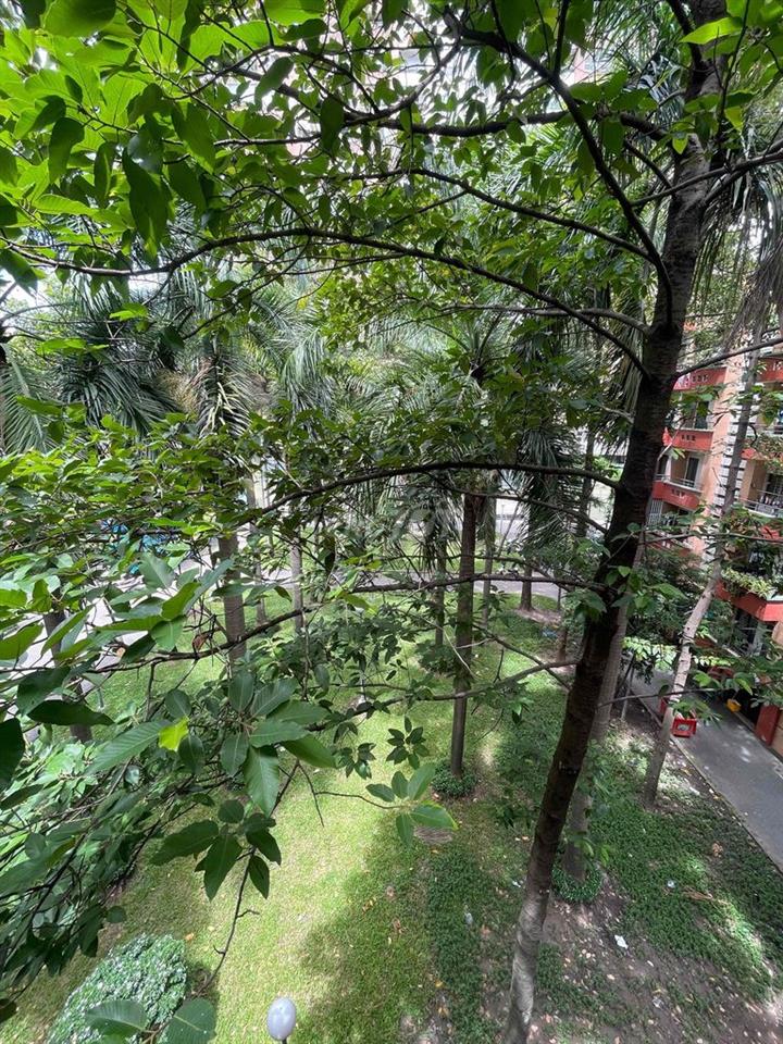 Bán căn hộ Bàu Cát 2 (thang bộ) 50m2 -2PN-1WC nhà mới 100%, Sổ Hồng