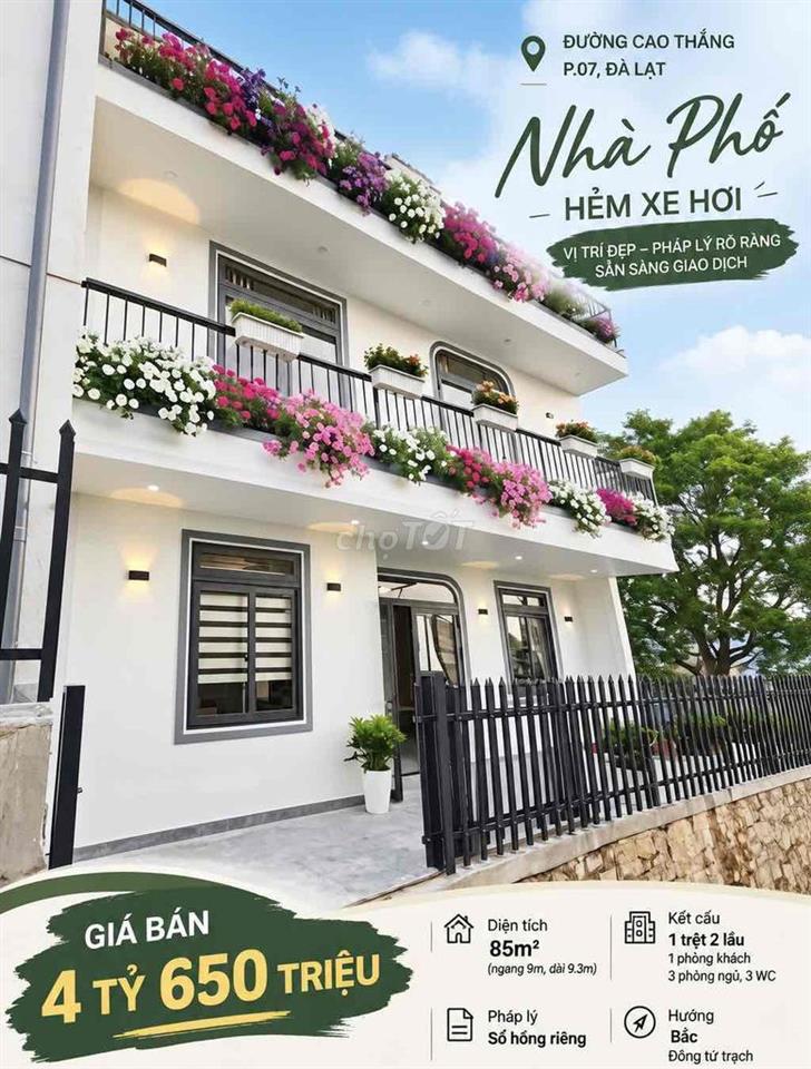 🔥 NHÀ ĐẸP CAO THẮNG – HẺM XE HƠI – 85M² – SỔ RIÊNG – CHỈ 4,65 TỶ