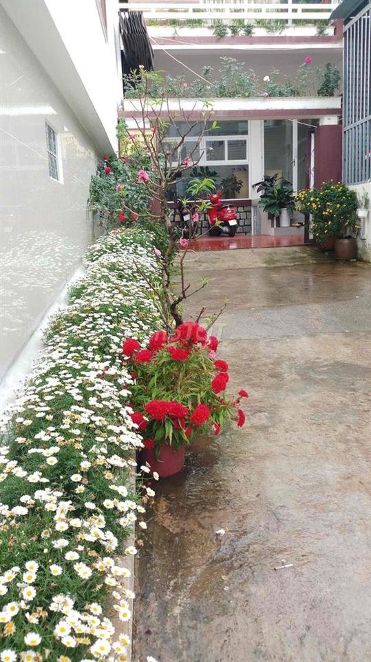 CẮT LỖ BÁN NHÀ PHỐ HẺM XE HƠI – NGUYỄN TRUNG TRỰC, P.04, ĐÀ LẠT
