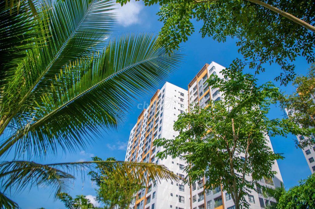 MỞ BÁN TRELLIA VISTA, CĂN HỘ CAO CẤP HAI MẶT VIEW SÔNG KĐT MIXUKI PARK