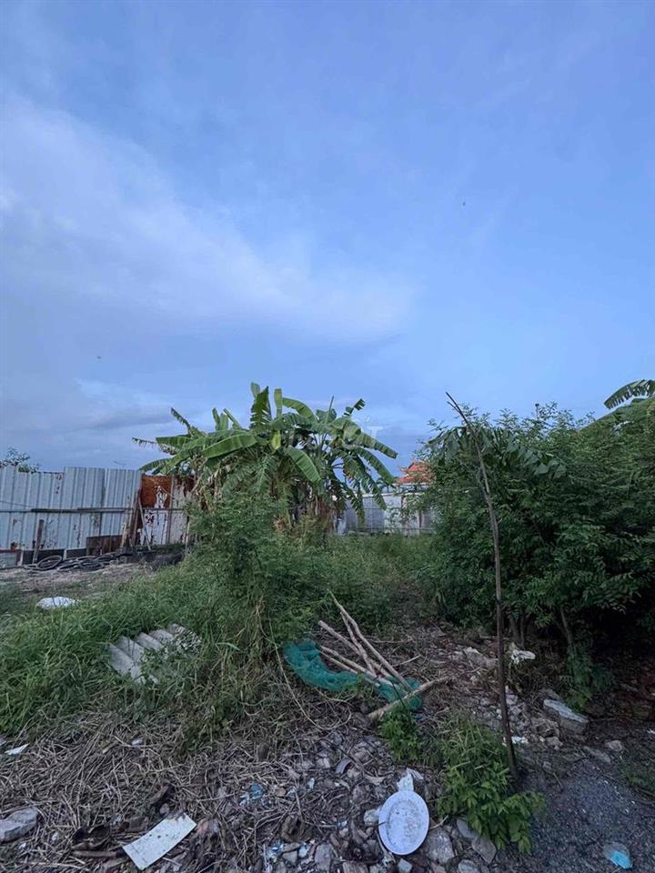 MT Đê Bà TY Ngã Ba Chợ Tân Long ( Câu Tần Bủu)