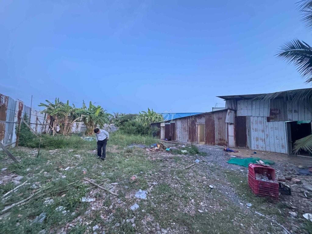 MT Đê Bà TY Ngã Ba Chợ Tân Long ( Câu Tần Bủu)