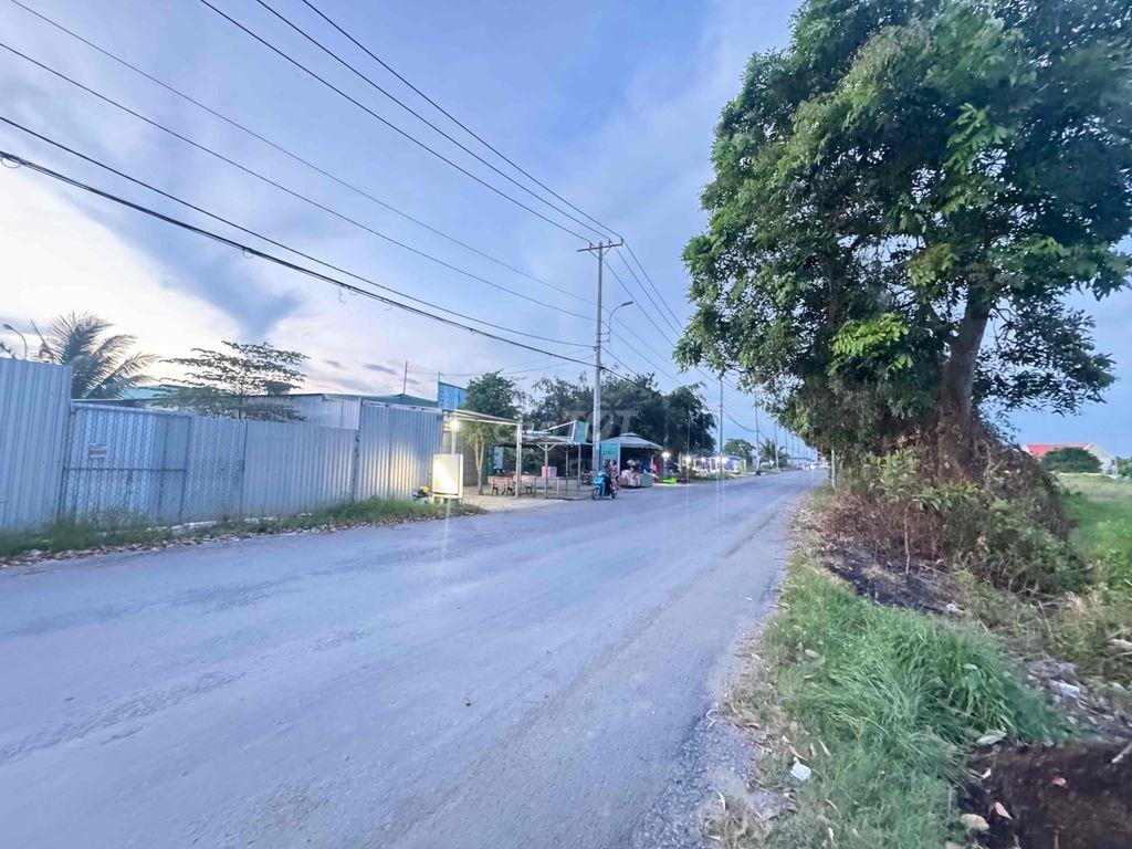 MT Đê Bà TY Ngã Ba Chợ Tân Long ( Câu Tần Bủu)