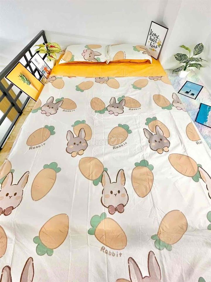 TRỐNG SẴN PHÒNG DUXLEP THANG MÁY GẦN ĐH CÔNG THƯƠNG GO TRƯỜNG TRINH