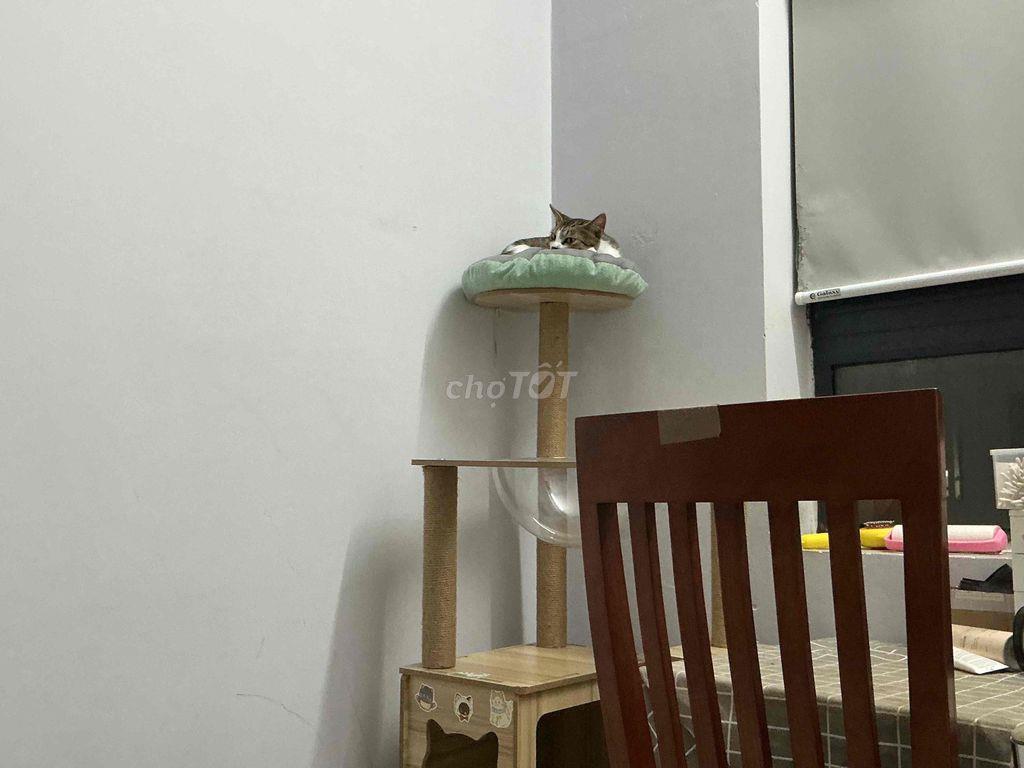 Share 1pn 1wc FULL NỘI THẤT INTERVER trong chung cư 2pn 2wc Bình Tân