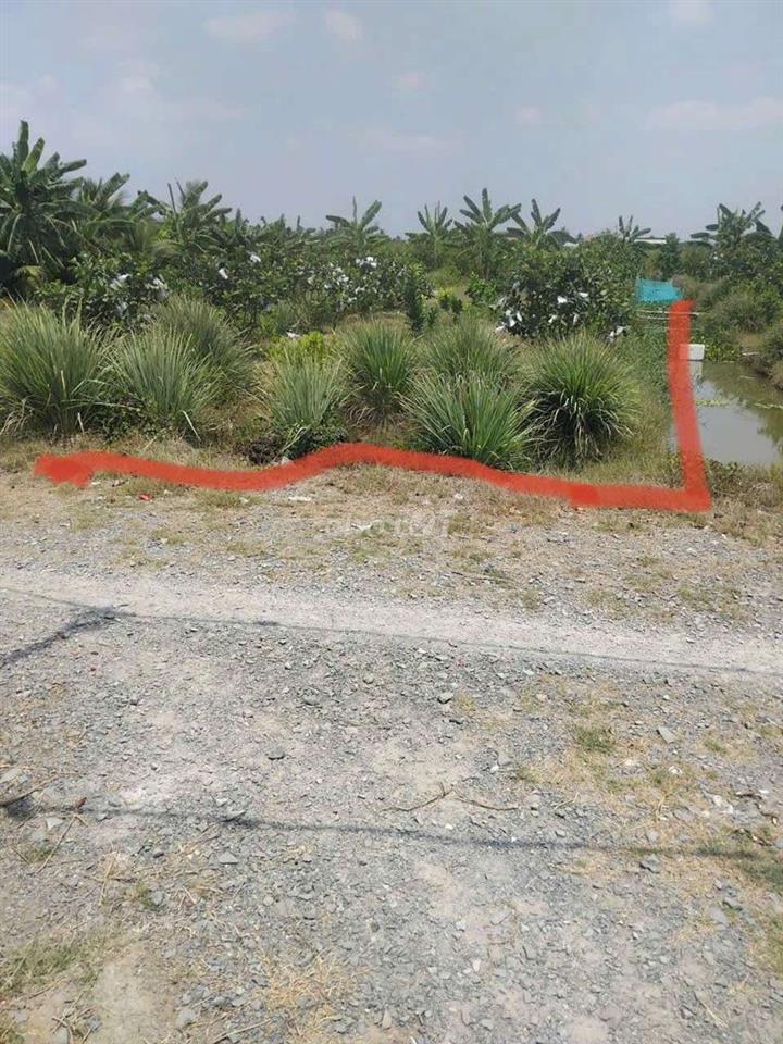 Cần Bán Nhanh Đất Thổ Cư 20x37m, xe hơi tới Châu Thành, Long An, Sh