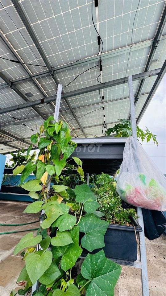 Bán gấp nhà Quận Bình Tân – Giá *** hôm nay.