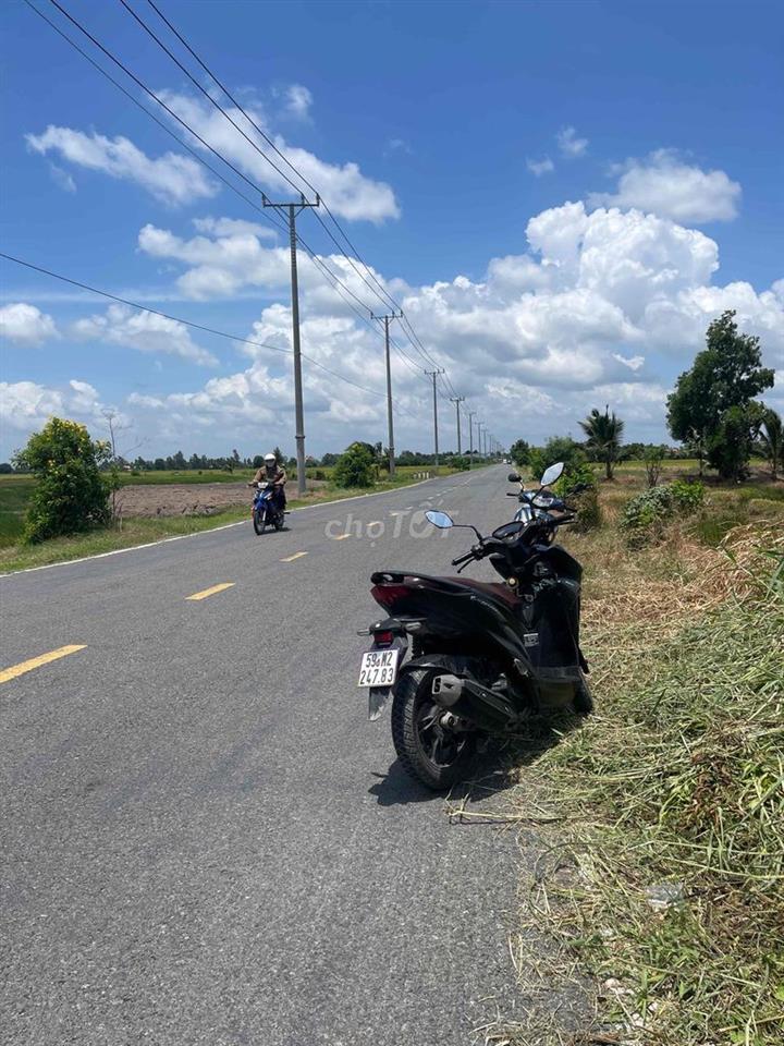 MẶT TIỀN ĐẤT TRỒNG CÂY TINH LỘ 873