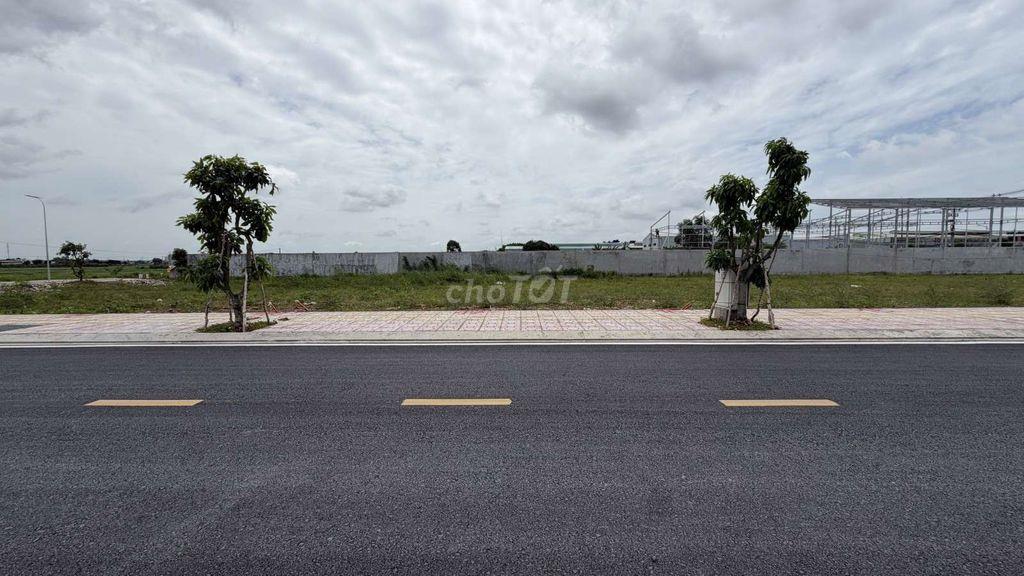 CƠ HỘI VÀNG ĐỂ ĐẦU TƯ - ĐỊNH CƯ : DỰ ÁN NGUYỄN VĂN BỨA - HÓC MÔN