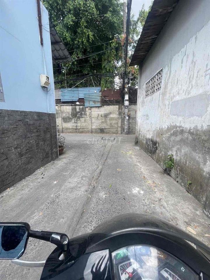 Nhà đường Hoà Bình, nở hậu tài lộc